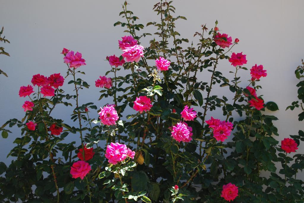 Les Terrasses De Castelmerle Hotel Niaux Room photo